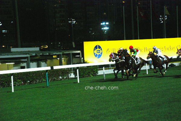 That's My No. 10 @ Happy Valley Racecourse, Hong Kong